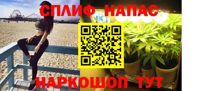 шишки Бузулук