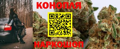 шишки Бузулук