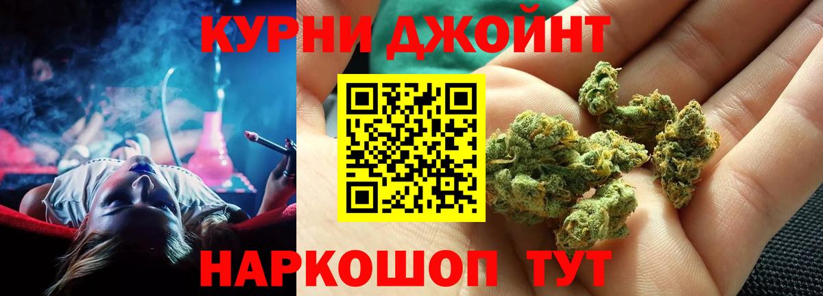 Канабис конопля Саров